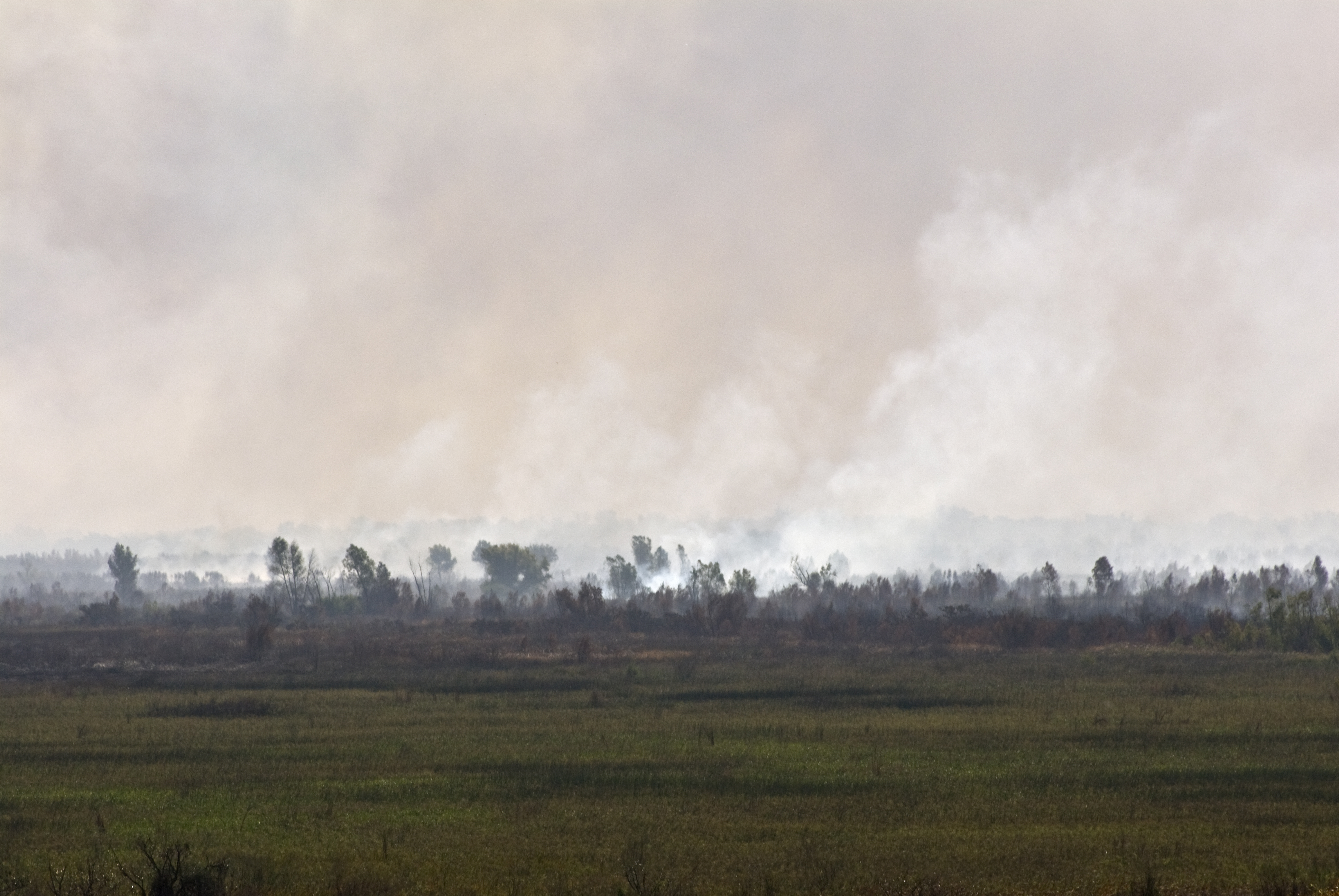 Upriver transit, fields burning — Argentina, 2008