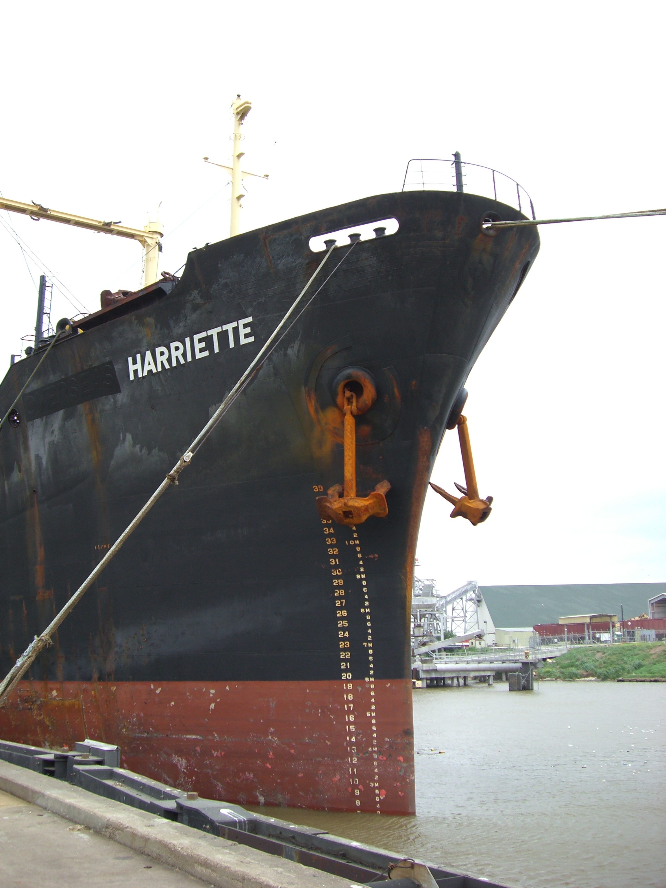 M/V Harriette bow profile