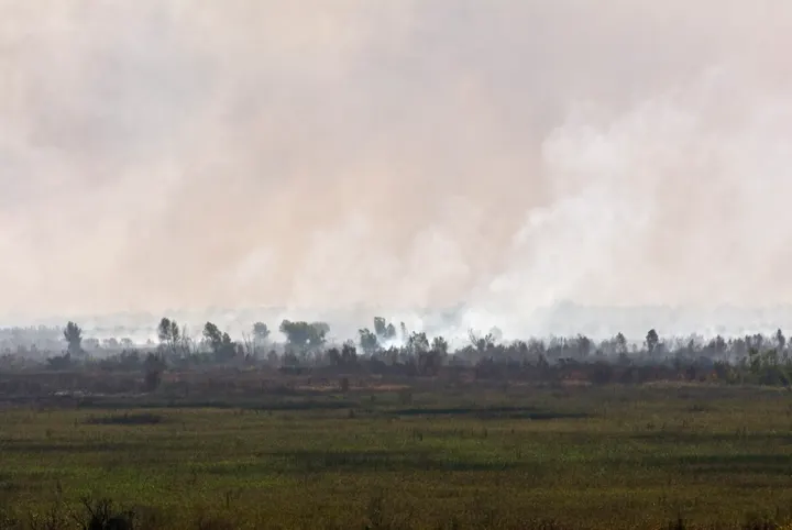 Upriver transit, fields burning — Argentina, 2008